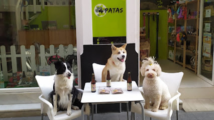 fotografía  4 Patas Peluquero de mascotas en Sanlúcar de Barrameda