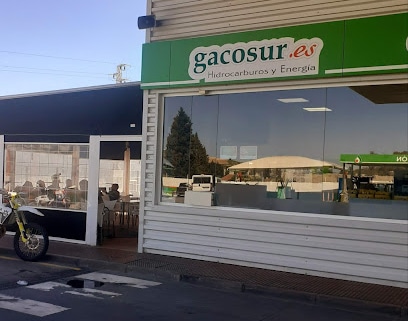 fotografía  A3-81 Estación de Servicio Gasolinera en Jerez de la Frontera