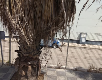 fotografía  ANT Logística Servicio de logística en San Roque