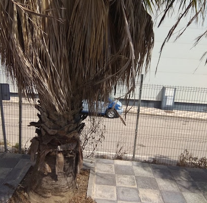 fotografía ANT Logística Servicio de logística en San Roque