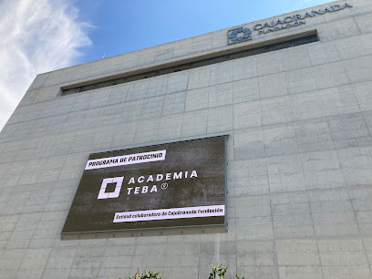 Academia TEBA Centro de formación