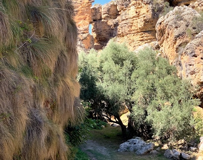 Acequia del Toril Lugar de interés histórico