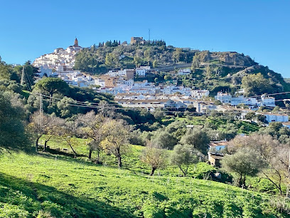 fotografía  Alcalá de los Gazules Cadiz Oficinas de empresa en Alcalá de los Gazules