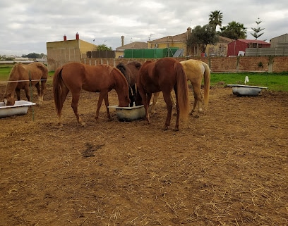 fotografía  Almesquid Stables Club en Sanlúcar de Barrameda