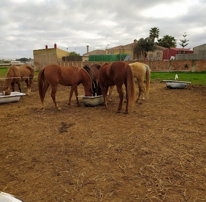 fotografía  Almesquid Stables Club en Sanlúcar de Barrameda