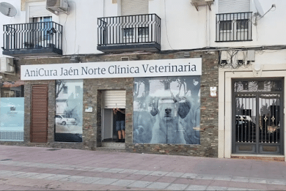 AniCura Jaén Norte Clínica Veterinaria Veterinario