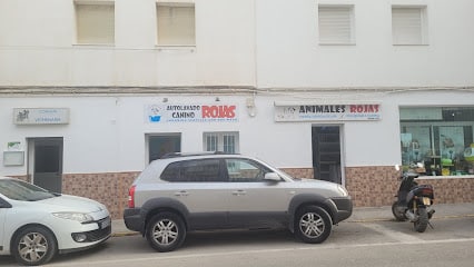 fotografía  Animales Rojas Tienda de animales en Barbate