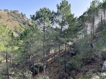 fotografía  Aparcamiento sendero El Pinsapar Aparcamiento en Grazalema