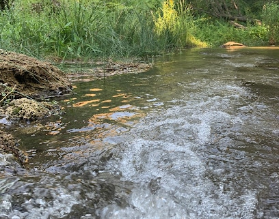 Área Recreativa Aguas Blancas Parque ecológico