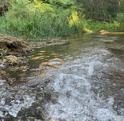 Área Recreativa Aguas Blancas Parque ecológico