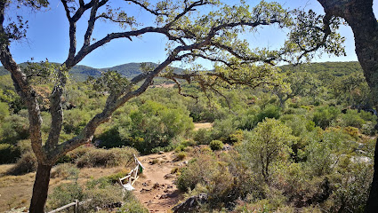 fotografía  Area Recreativa El Picacho Zona de senderismo en Alcalá de los Gazules