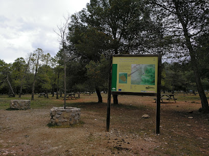 Area Recreativa Los Llanos Zona de senderismo