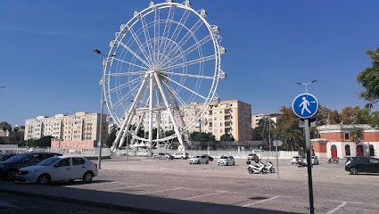 Armas Trasmediterránea Málaga Servicio de ferry