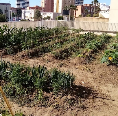 fotografía  Asociación De Vecinos A.T. Astilleros De Cádiz Asociación u organización en Cádiz