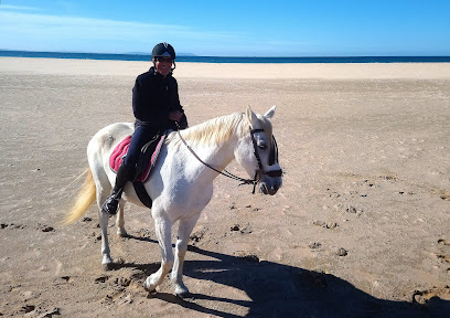 fotografía  Aventura Ecuestre Servicio de paseo a caballo en Tarifa