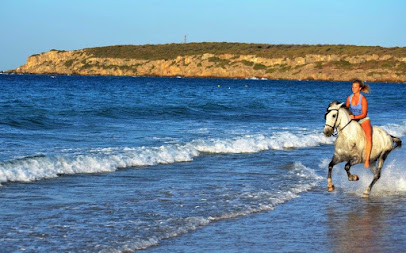 fotografía  Aventuras del Sur Tarifa Servicio de paseo a caballo en Villa Selene