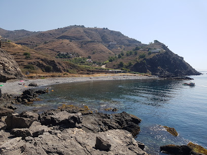 Barranco de Enmedio playa