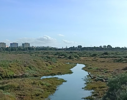 fotografía  Barriada Andalucia Parque en San Fernando