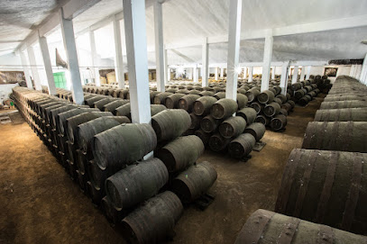 fotografía  Bodega Amparo Ribelles Bodega en Jerez de la Frontera