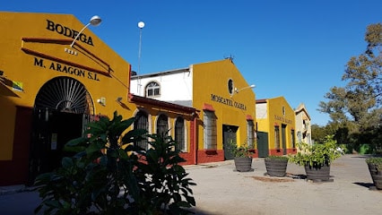 fotografía  Bodega Manuel Aragón S.L. Bodega en Chiclana de la Frontera