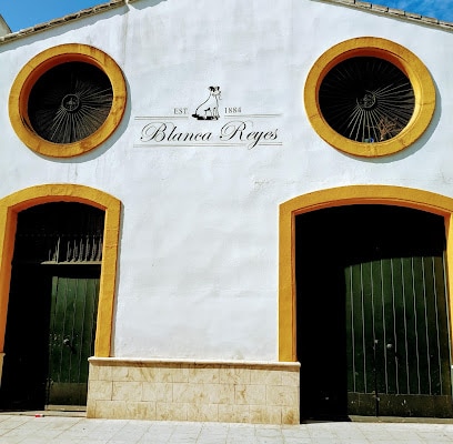 fotografía  Bodegas Blanca Reyes Bodega en Jerez de la Frontera