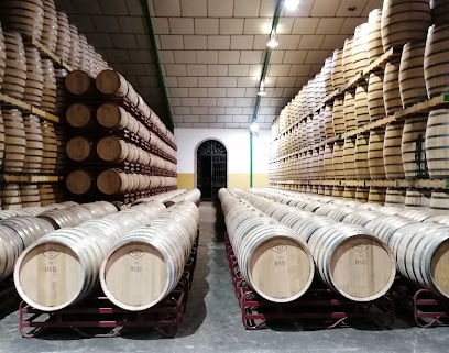 fotografía  Bodegas Páez Morilla Bodega en Jerez de la Frontera