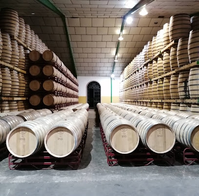 fotografía  Bodegas Páez Morilla Bodega en Jerez de la Frontera