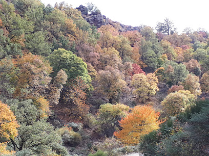 Bosque Encantado Reserva natural