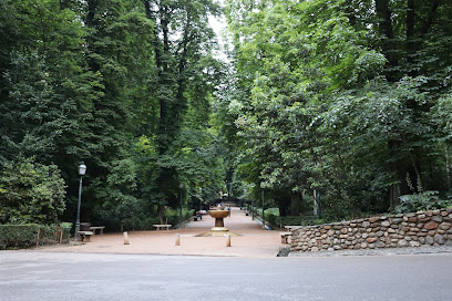 Bosque de la Alhambra Jardín