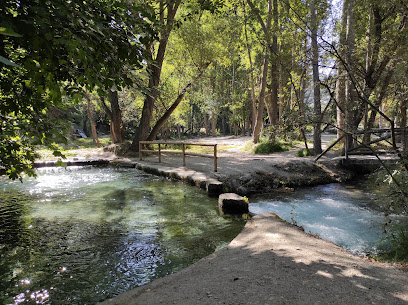 Bosque encantado de Higueras Bosque nacional