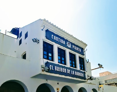 Bribón Del Puerto Diputación