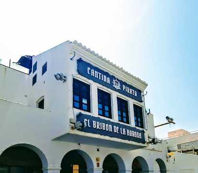 Bribón Del Puerto Diputación