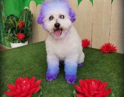 Byteldog Peluqueria Canina Peluquero de mascotas