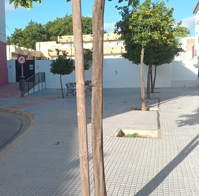 fotografía  CEIP Serafina Andrades (Comunidad de Aprendizaje) Colegio bilingüe en Chiclana de la Frontera