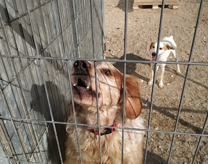 fotografía  CEMUPROAN Refugio para animales en El Puerto de Sta María
