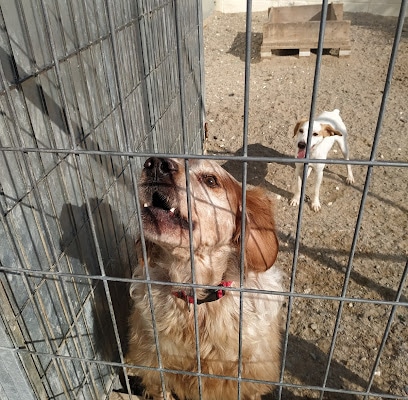 fotografía CEMUPROAN Refugio para animales en El Puerto de Sta María