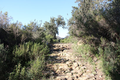 fotografía  Calzada Dehesa Boyal Zona de senderismo en Castillo de Castellar