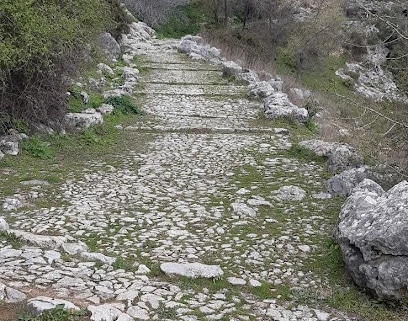 fotografía  Calzada Medieval Zona de senderismo en Grazalema