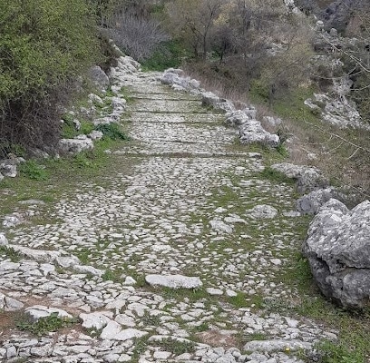 fotografía  Calzada Medieval Zona de senderismo en Grazalema