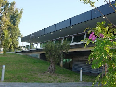 fotografía  Cámara de Comercio del Campo de Gibraltar Cámara de comercio en Algeciras