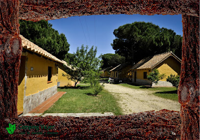 fotografía  Camping Vejer  en Vejer de la Frontera