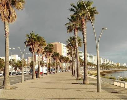 fotografía  Campo de fútbol Pedro Fernández Campo de fútbol en Cádiz