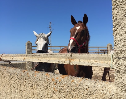 fotografía  Campo y Mar Camping en Barbate