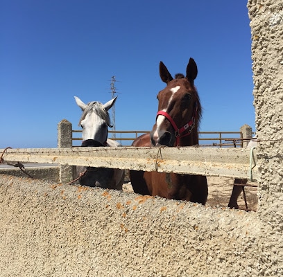 fotografía  Campo y Mar Camping en Barbate