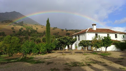 fotografía  Casa Rural en Grazalema HUERTA LA TERRONA  en Grazalema