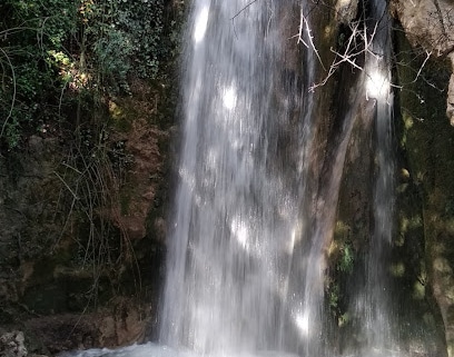 Cascadas De Prado Negro Parque