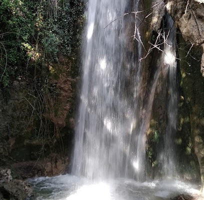 Cascadas De Prado Negro Parque