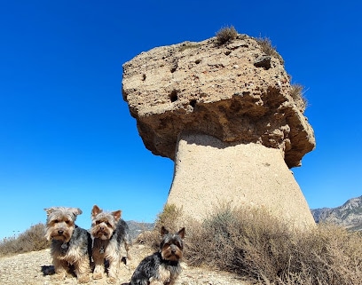 Castillo de Dúrcal Lugar de interés histórico