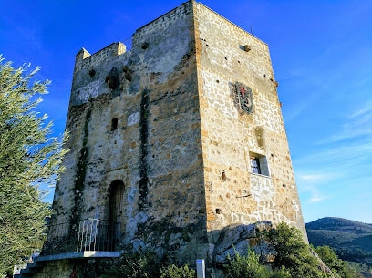 Castillo de los Ulloa Castillo