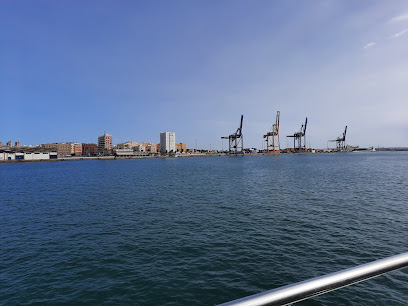 fotografía  Catamarán Bahía de Cádiz Servicio de transporte en Cádiz